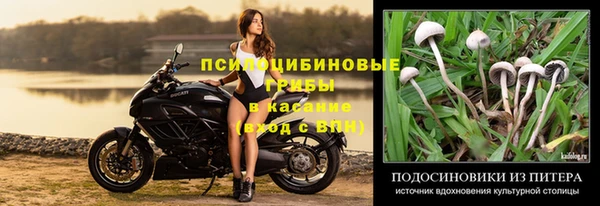кокс Богданович